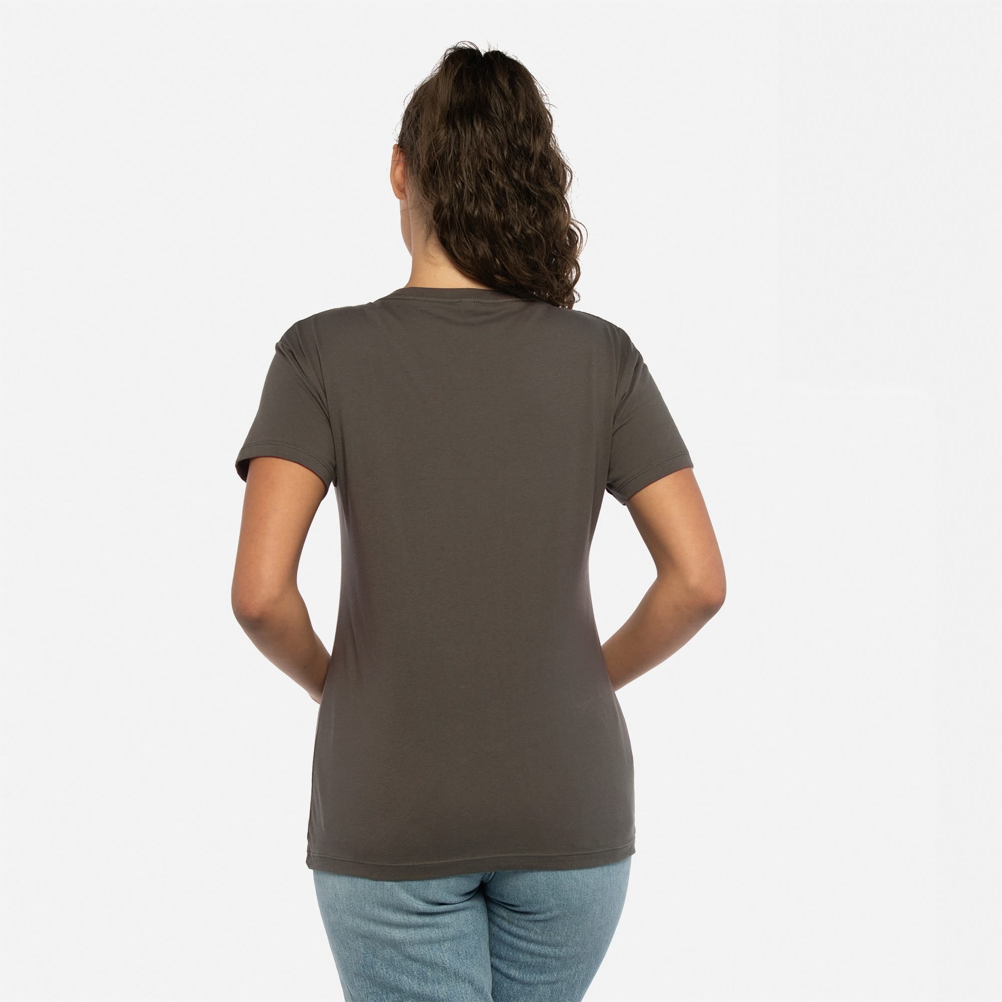Cotton V-Neck T-Shirt Heavy Metal 3940 Next Level Apparel Back View