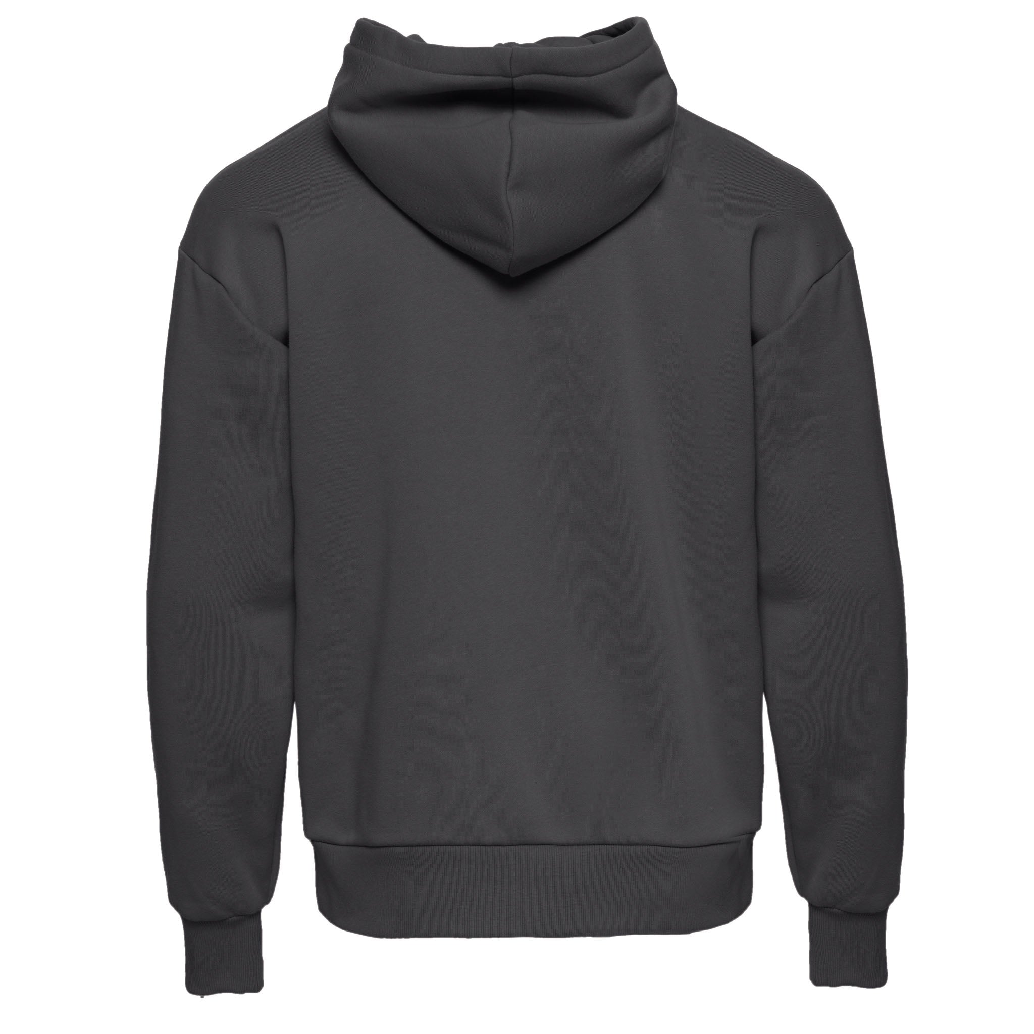 Unisex Heavyweight Pullover Hoodie Graphite Black 9307 Next Level Apparel Sizes XS, S, M, L, XL, 2XL, 3XL Back View