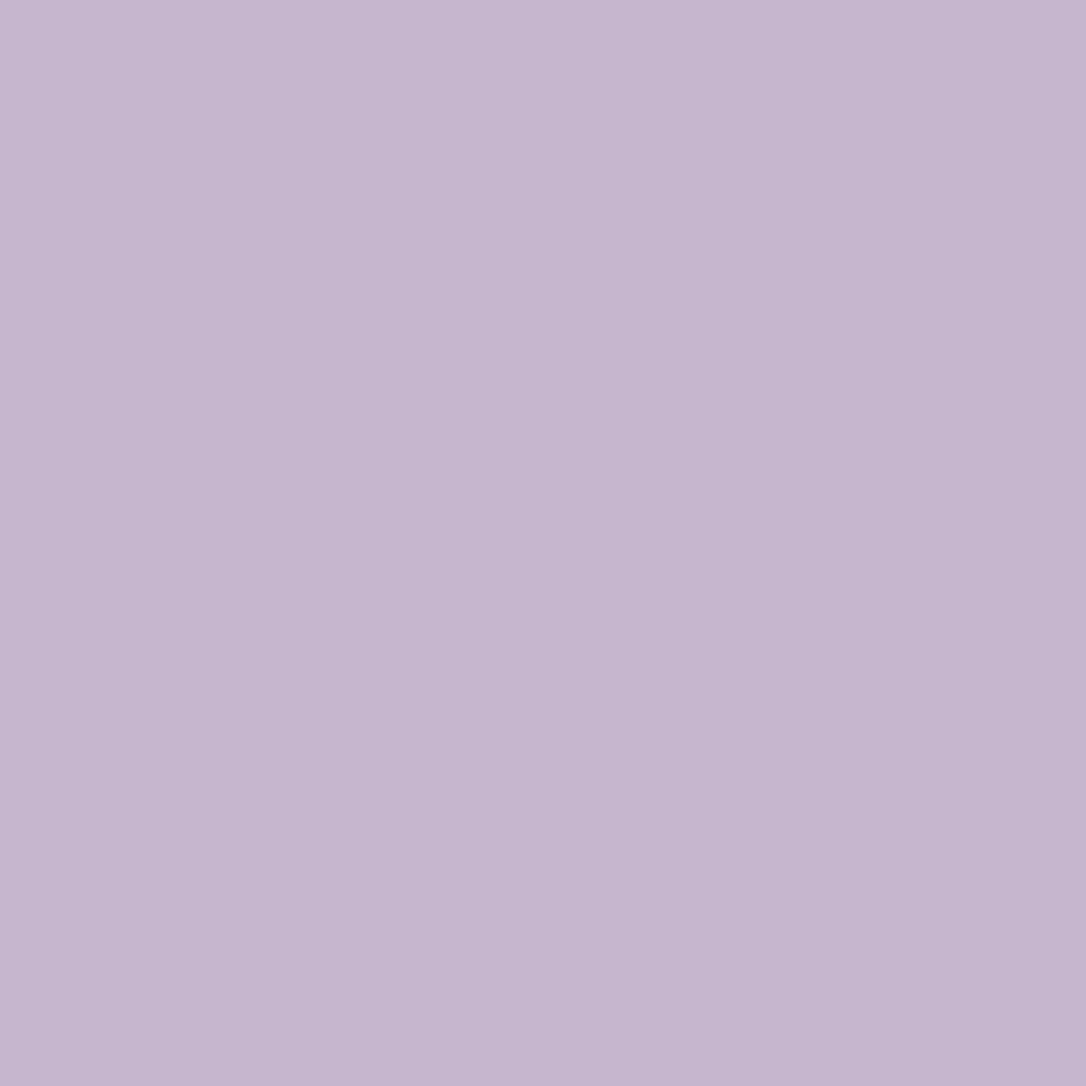 Color Swatch - Color Sample