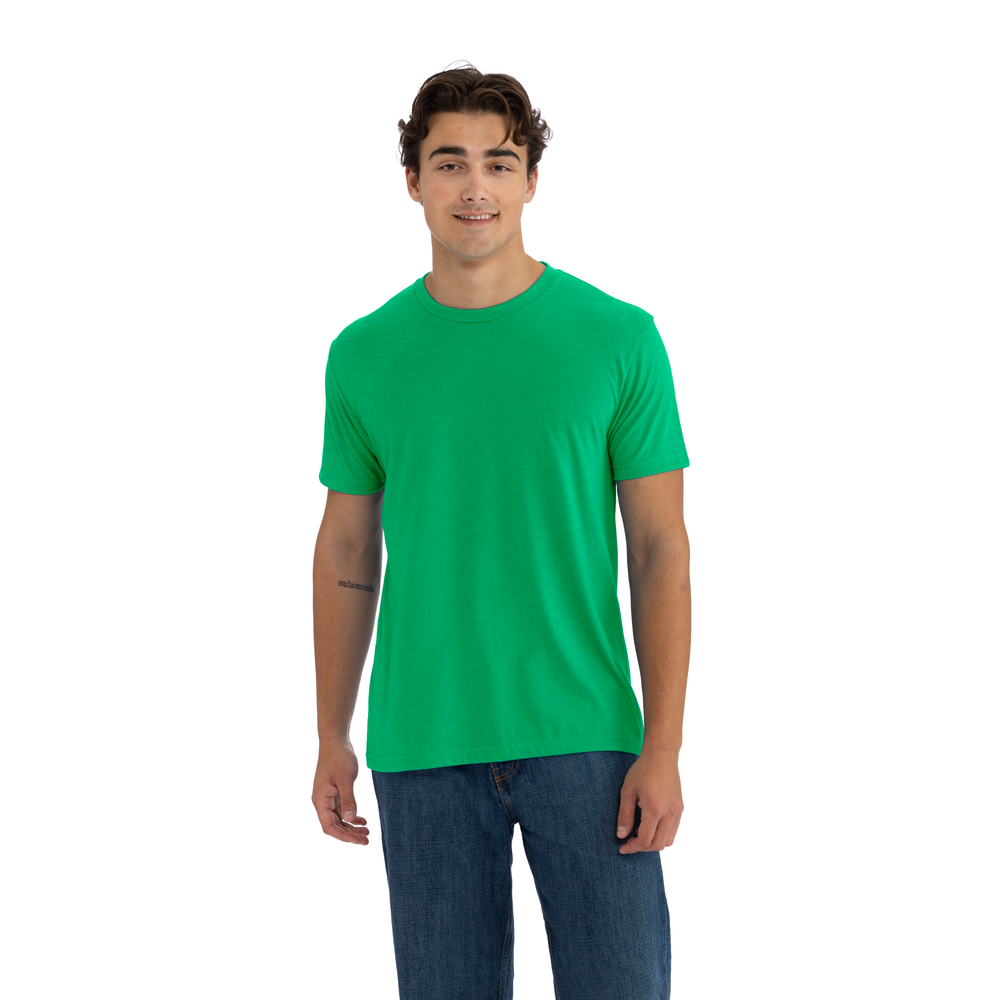 6010 Tri-Blend T-Shirt - Envy | Next Level Apparel